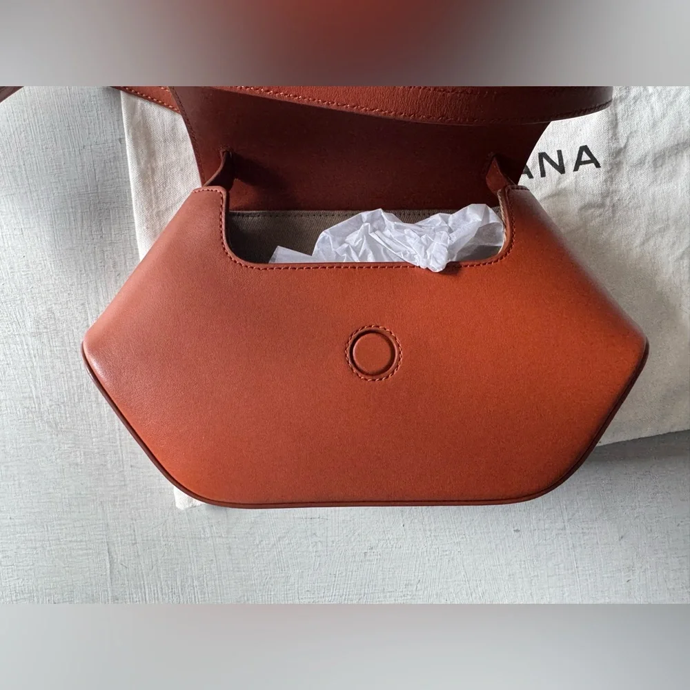 NWT Cuyana Mini Hexagon Leather Crossbody Bag in Sienna